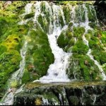 şelale1.jpg şelale1.jpg